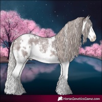 Horse Color:White Spotted Chocolate Silver Brown Roan Splash 