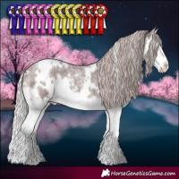 Horse Color:White Spotted Chocolate Silver Brown Roan Splash 