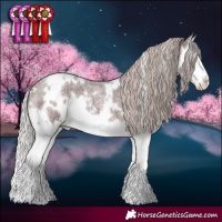 Horse Color:White Spotted Chocolate Silver Brown Roan Splash 