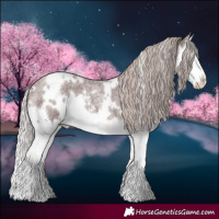 Horse Color:White Spotted Chocolate Silver Brown Roan Splash 