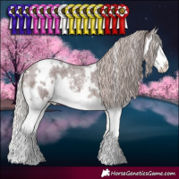 Horse Color:White Spotted Chocolate Silver Brown Roan Splash 