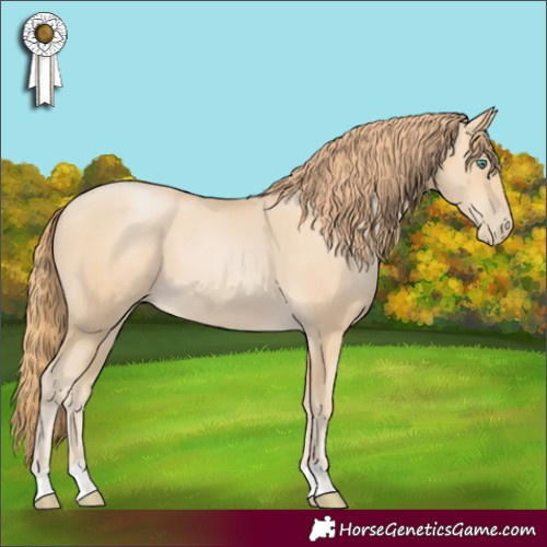 Horse Color:Smoky Black Pearl 
