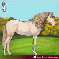 Horse Color:Smoky Black Pearl 
