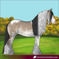 Horse Color:White Spotted Brown Dun Tobiano Varnish Rabicano