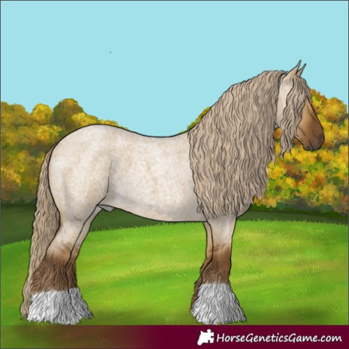 Horse Color:Chocolate Palomino Roan Dun 
