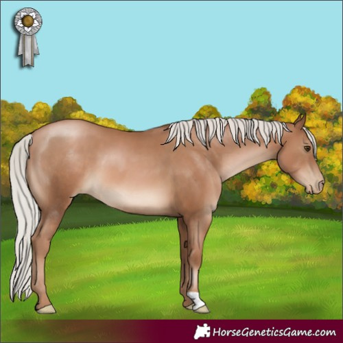 Horse Color:Silver Black Pearl