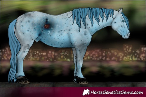 Horse Color:ERROR: UNKNOWN ANOMALY