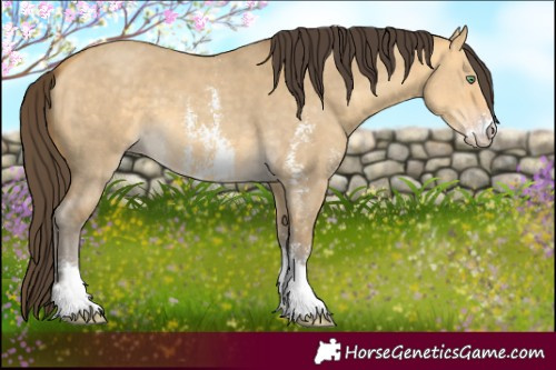 Horse Color:Amber Cream Champagne Dun Sabino