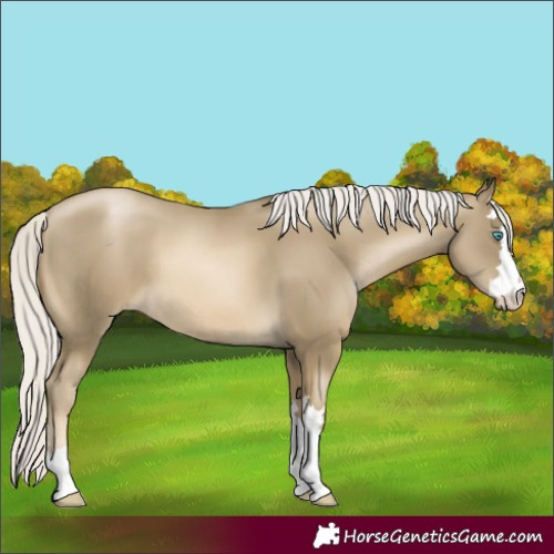 Horse Color:Silver Smoky Black Pearl 