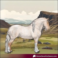Horse Color:Silver Blue Roan Pearl Tobiano Frame