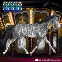 Horse Color:Black Ice Sabino 