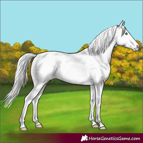 Horse Color:Silver Smoky Creme Dun 