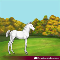 Horse Color:Silver Smoky Creme Dun
