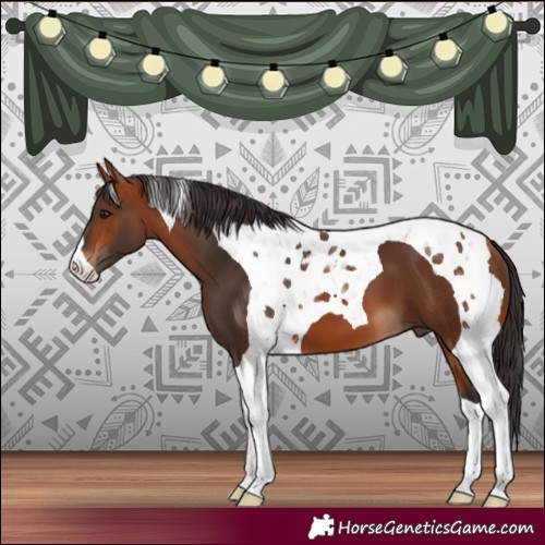 Horse Color:Bay Tobiano 