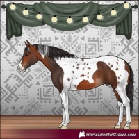 Horse Color:Bay Tobiano