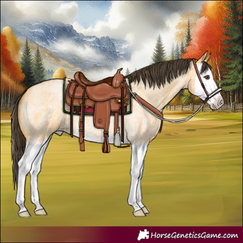 Horse Color:Buckskin Roan Dun Splash 