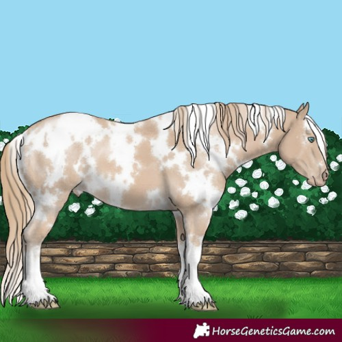 Horse Color:White Spotted Smoky Creme 