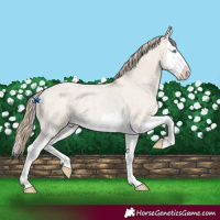 Horse Color:Smoky Creme Roan Splash