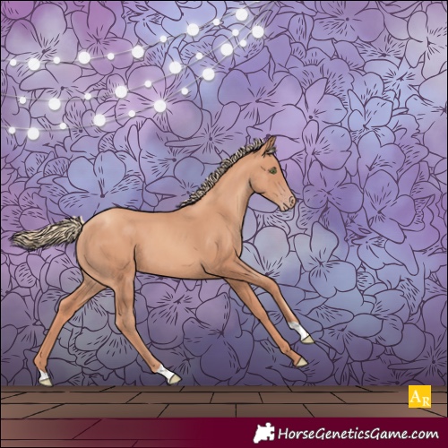 Horse Color:Gold Champagne 