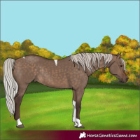 Horse Color:Silver Brown Dun Tobiano Rabicano