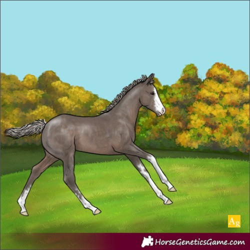 Horse Color:Silver Black 