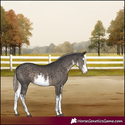 Horse Color:White Spotted Silver Smoky Black 