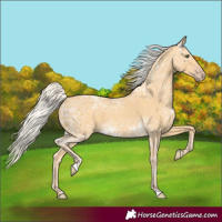 Horse Color:Silver Classic Cream Champagne Ice