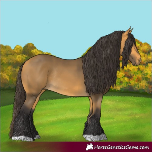Horse Color:Buckskin Rabicano 
