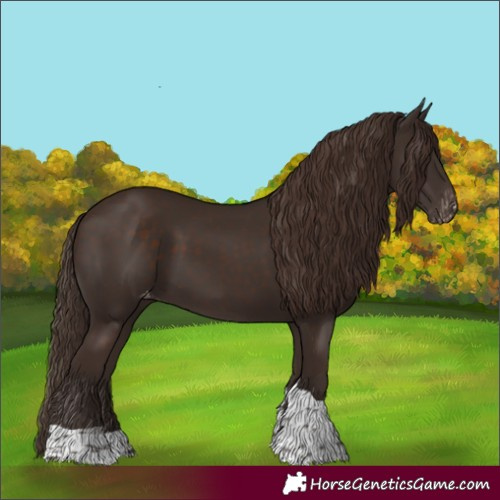 Horse Color:Liver Chestnut Tobiano Skewed LP Spotted Rabicano 