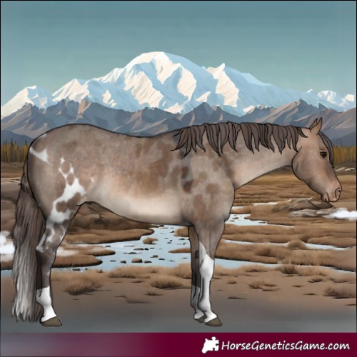 Horse Color:Bay Dun Tobiano Skewed LP Spotted 