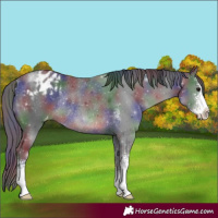 Horse Color:Nacre Black Sabino Varnish Rabicano 