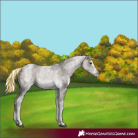 Horse Color:Painted White Spotted Silver Black Splash 