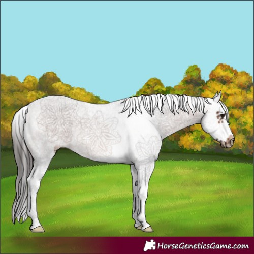 Horse Color:White Spotted Brown Splash Frame 
