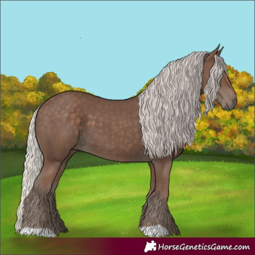 Horse Color:Silver Black
