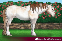 Horse Color:Gray White Spotted Red Onyx Ice Pearl Varnish 