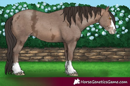 Horse Color:Sable Champagne Ice 