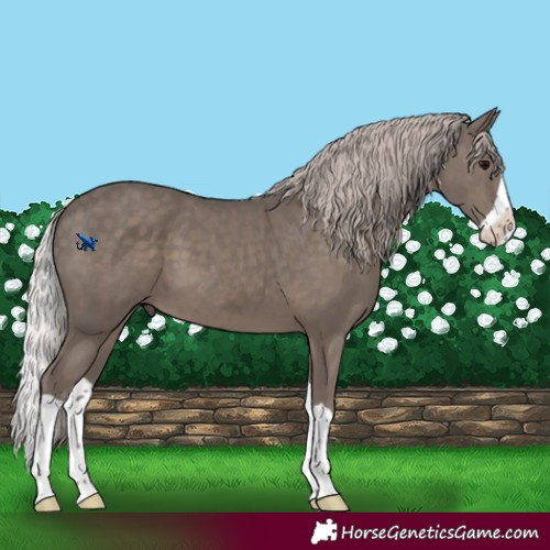 Horse Color:Silver Black Mushroom Splash 