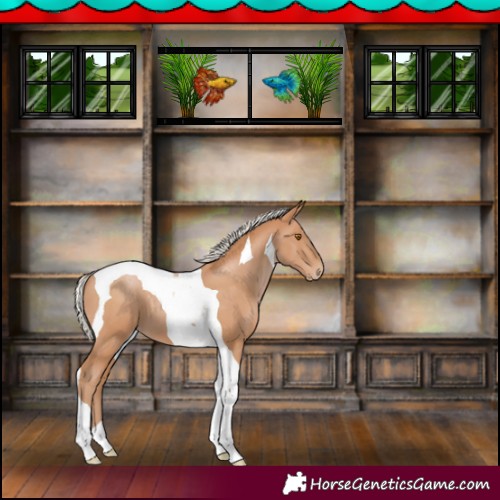 Horse Color:Silver Black Pearl Tobiano 