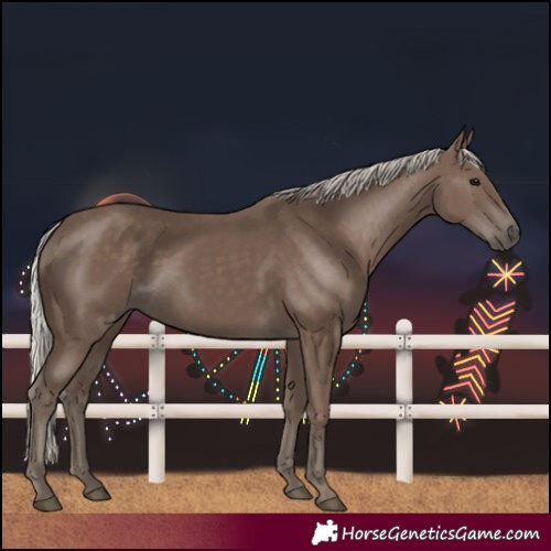 Horse Color:Silver Black 
