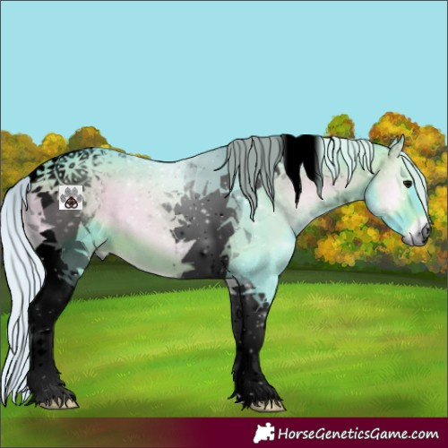 Horse Color:Void Watercolor Silver Brown Onyx Tobiano 