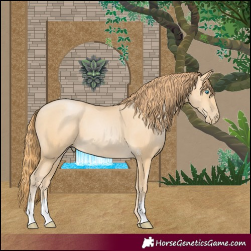 Horse Color:Buckskin Pearl 