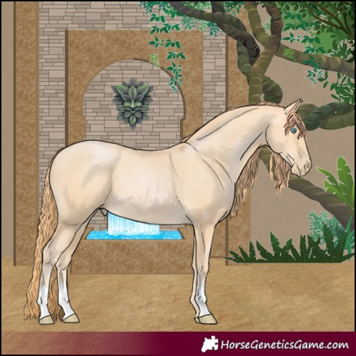 Horse Color:Buckskin Pearl 