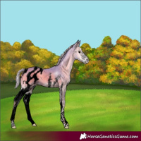Horse Color:Void Watercolor Silver Blue Onyx Sabino Blanket 
