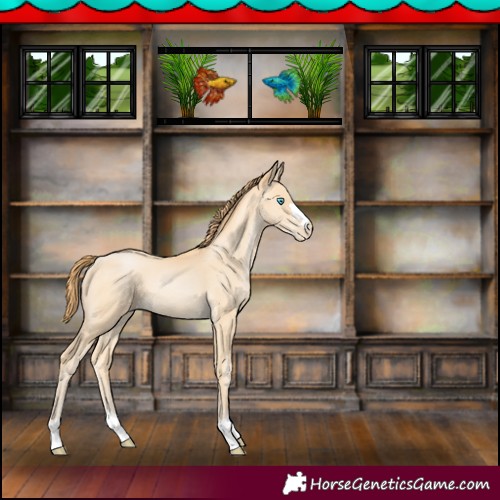 Horse Color:Buckskin Pearl 