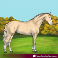 Horse Color:Palomino Dun Splash