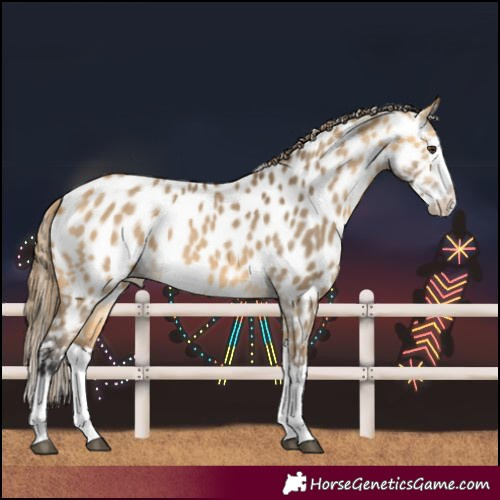 Horse Color:Buckskin Dun Splash Near Leopard