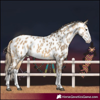 Horse Color:Buckskin Dun Splash Near Leopard 