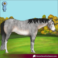 Horse Color:Gray Brown Roan Mushroom Sabino Varnish