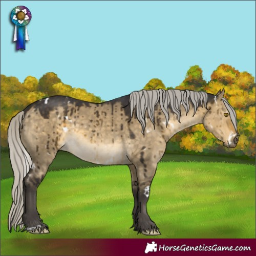 Horse Color:White Spotted Silver Buckskin Dun Rabicano Brindle 