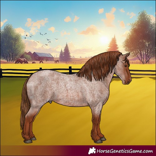 Horse Color:Red Roan